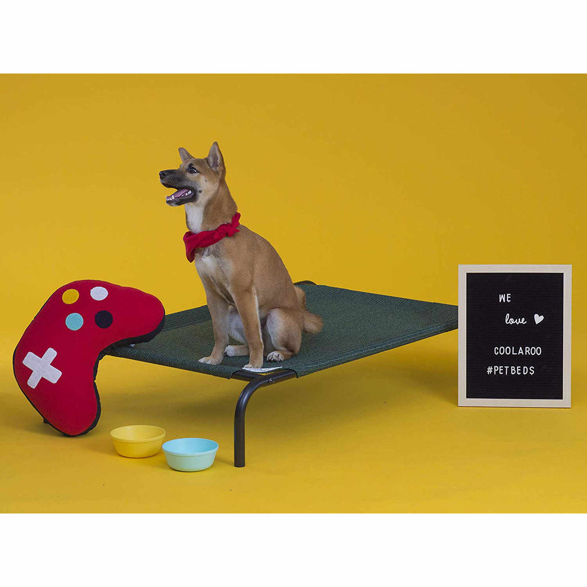 Coolaroo dog bed small hot sale