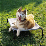 Coolaroo Outdoor Dog Bed Large (3'6" X 2'6") Gray