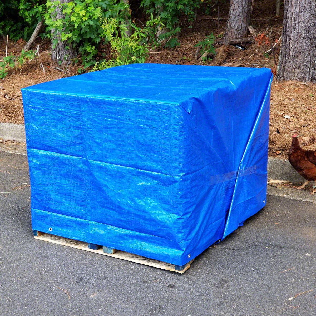 Sigman 5 ft. x 7 ft. Blue Tarp