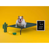 Coolaroo Outdoor Dog Bed Medium (3' X 2') Brunswick Green