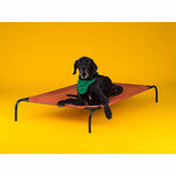 Coolaroo Outdoor Dog Bed Large (3'6" X 2'6") Terra Cotta