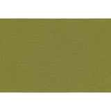 Recacril Acrylic Awning Fabric - R-160 - Solids - Pistachio