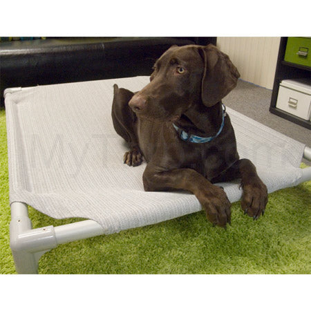 Bulk Clearance Sale - Coolaroo Outdoor Dog Bed Small - Aluminum Frame with Birch Cover (27.5